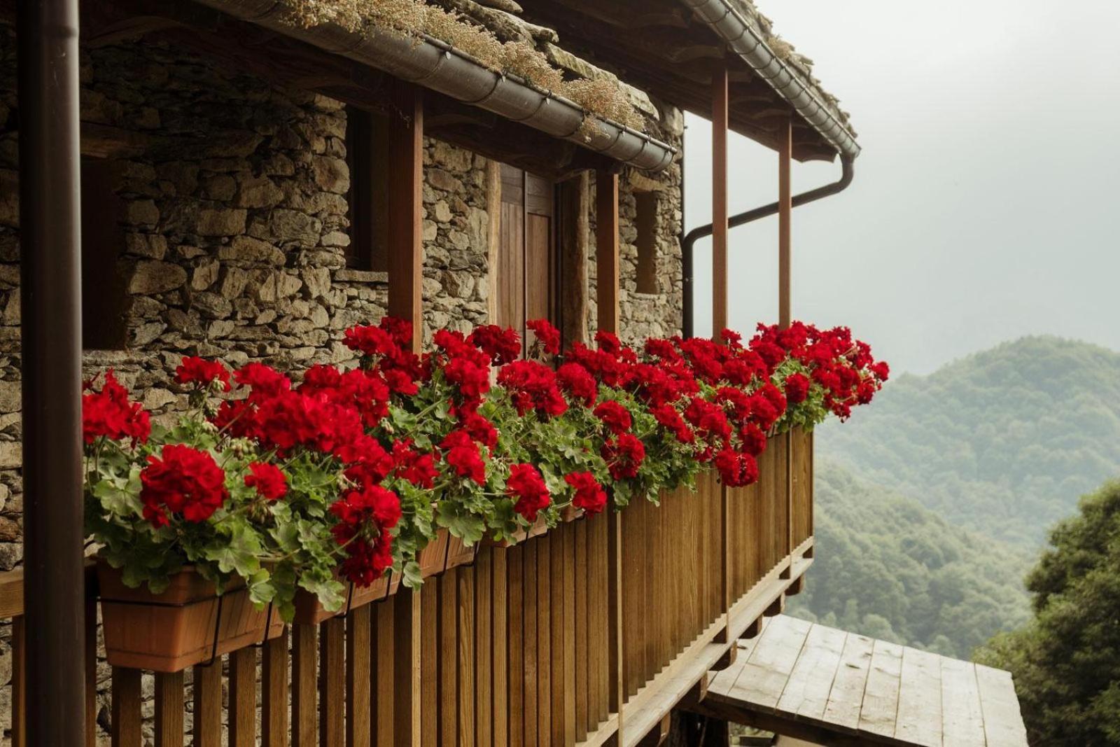 Bed and Breakfast Rifugio Alpino Baudinet - Trek&Relax Chiusa di Pesio Exterior foto